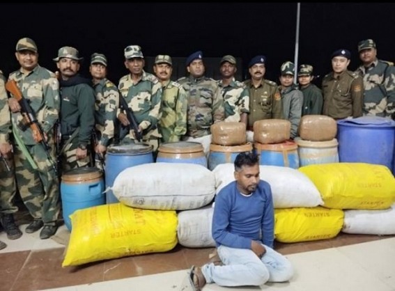 1 arrested with Rs.1.50 Crores Ganja in Sonamura 1 arrested with Rs.1.50 Crores Ganja in Sonamura
